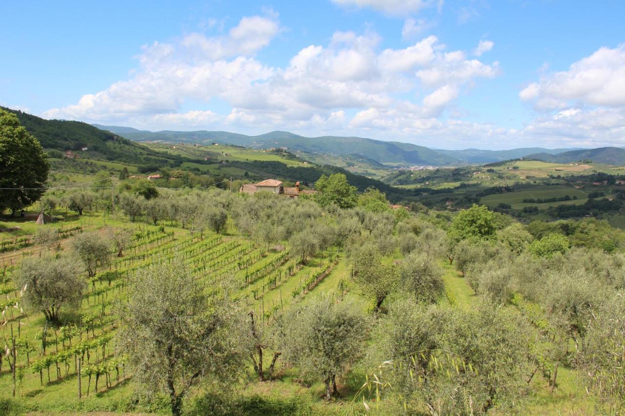 Fattoria Di Caticciano, Elegante Affittacamere Relax E Natura Vicino Firenze Pelago Extérieur photo